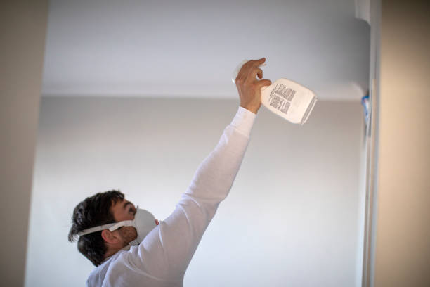Best Health and Safety Mold Remediation in Valmeyer, IL