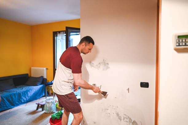 Best Mold Remediation for Specific Building Types in Valmeyer, IL